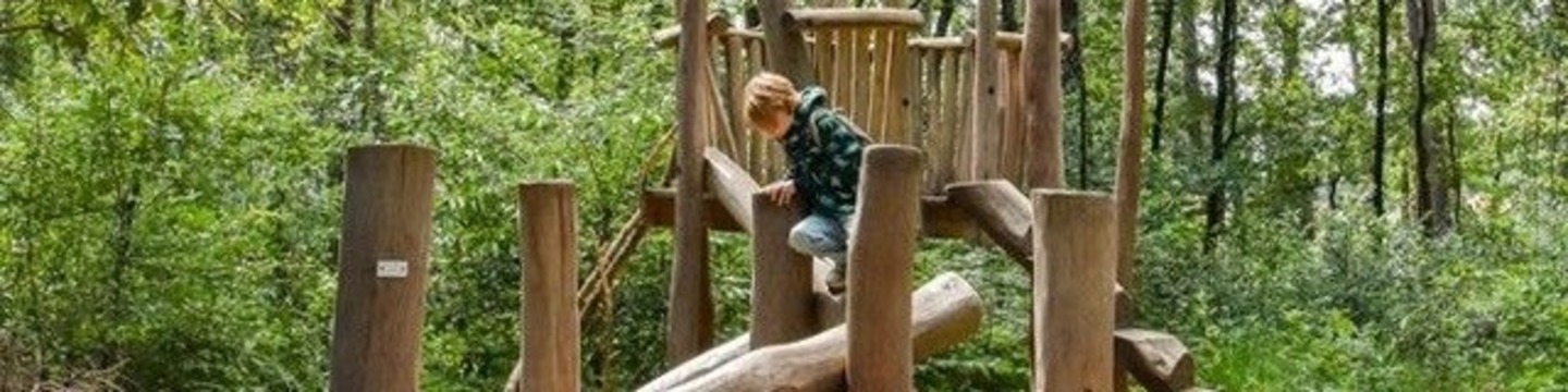 Climbing structure