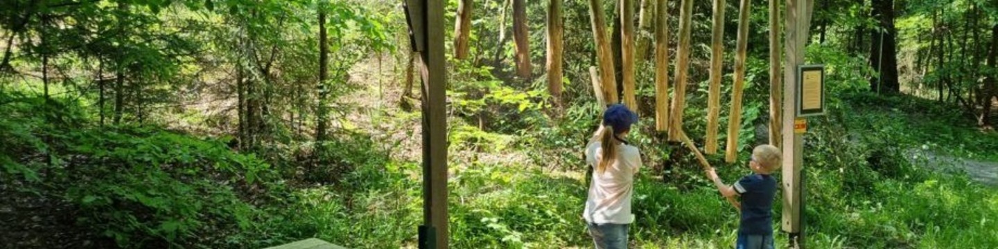 Photo of wooden chimes, one of the play options