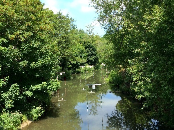 River Frome with canoe club markers